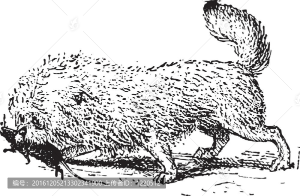 ratier獅鷲；復古雕刻。