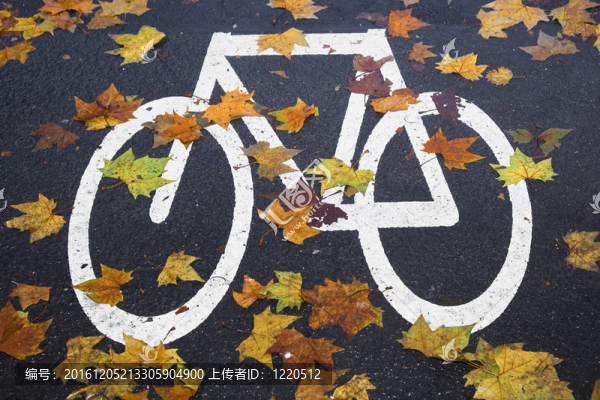 白色標(biāo)記的自行車道的街道