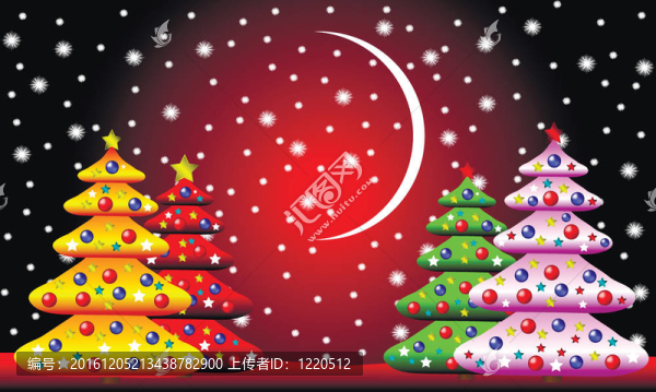 杉木樹冬季的圣誕景觀