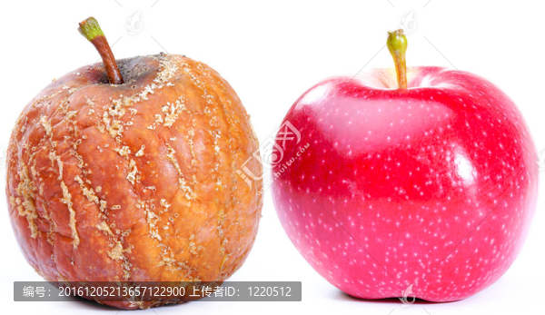 兩個(gè)蘋(píng)果