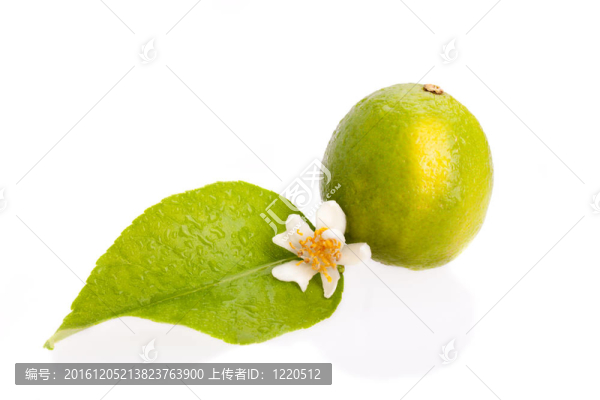 石灰