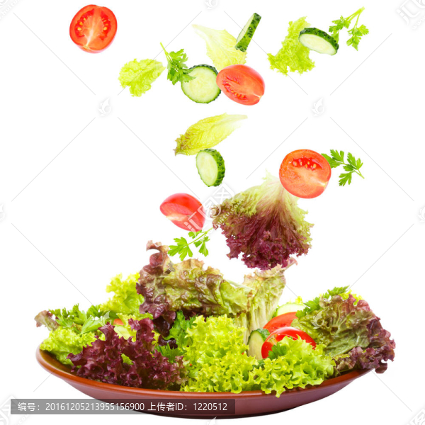 新鮮蔬菜