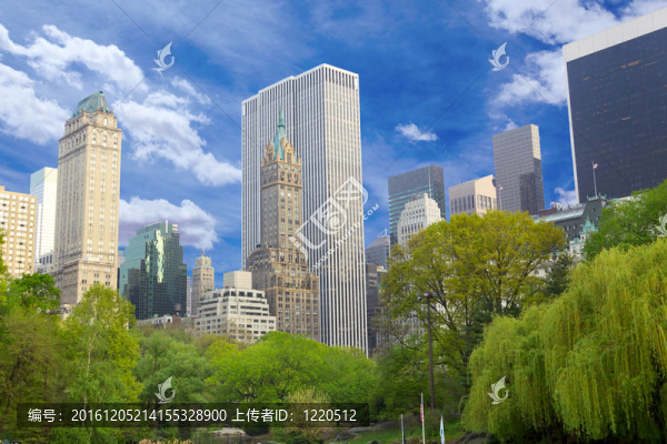 中央公園
