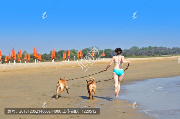 狗在沙灘上奔跑的女孩