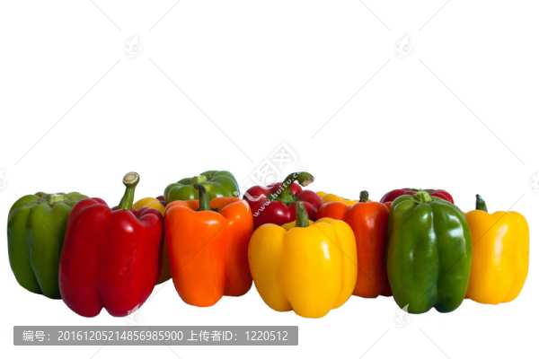 排青椒