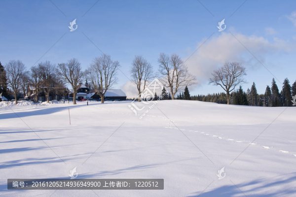 在山上新鮮的雪