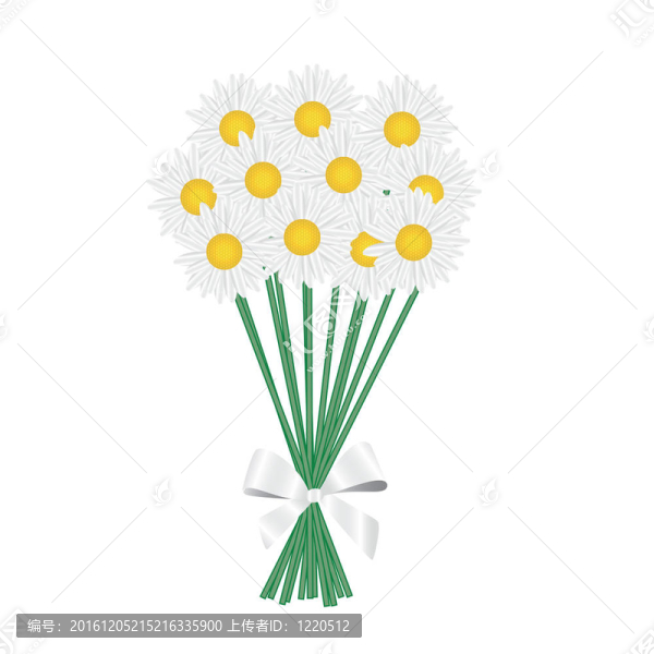 一束雏菊绑着白色缎带。插画