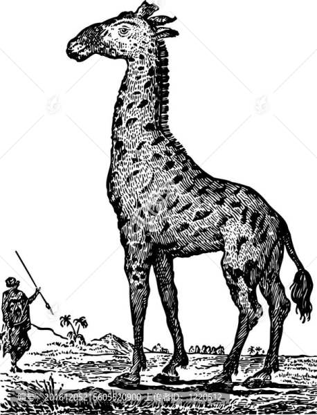 長頸鹿和獵人