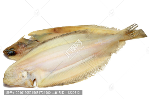 的比目魚干魚