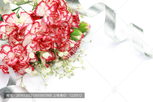 的康乃馨花束
