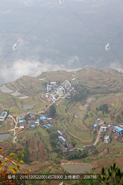 丘陵