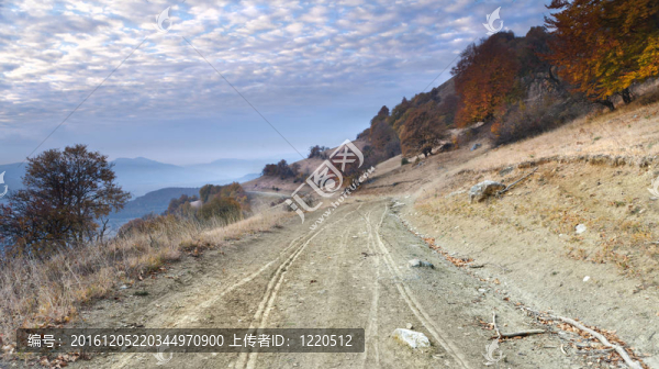車路
