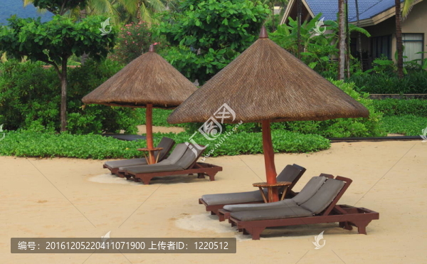 在海灘上日光浴浴床