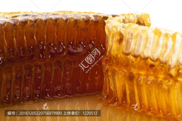蜂窩