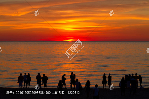 在夕陽的剪影