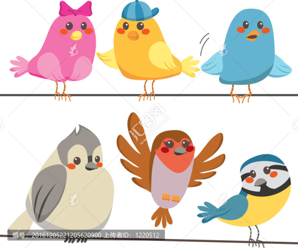 五顏六色的鳥