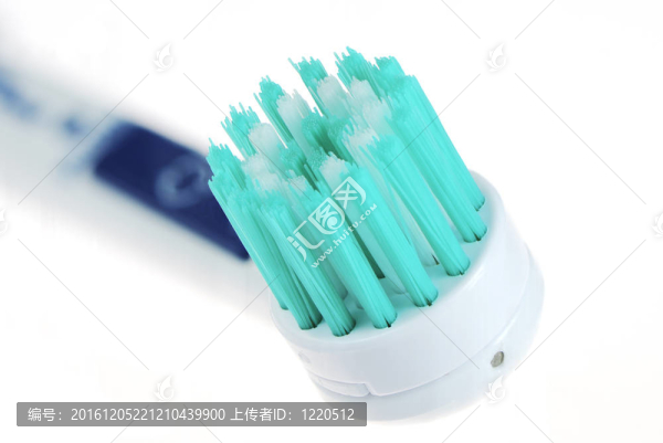 Toothbrush的頭