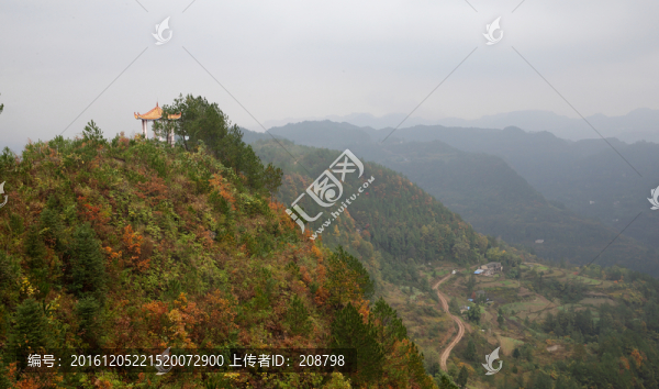 山