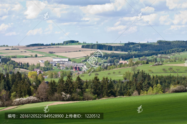綠色的田野