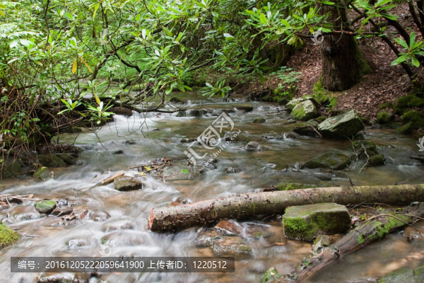 山區(qū)河流