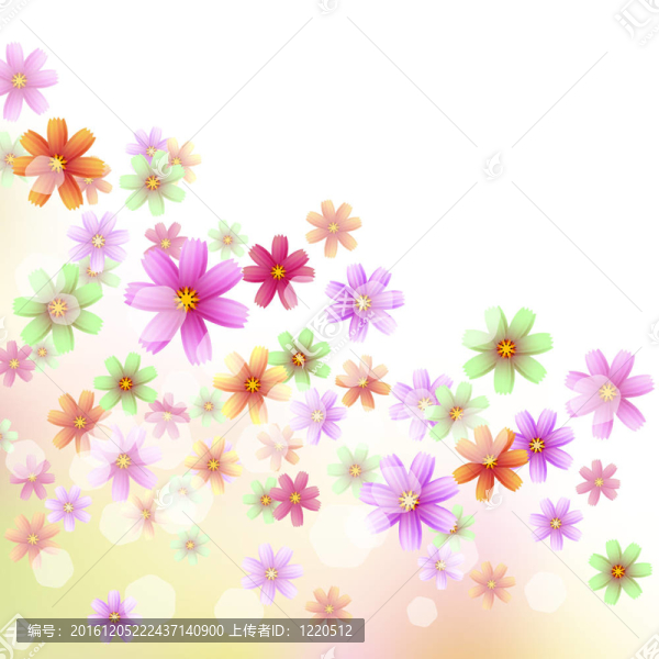 花邊壁紙2