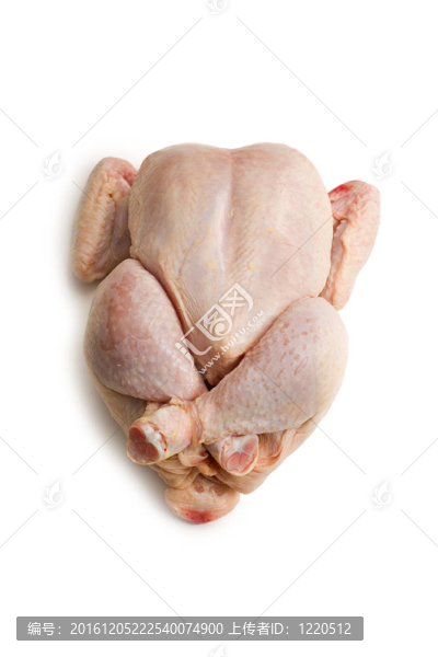 生雞肉