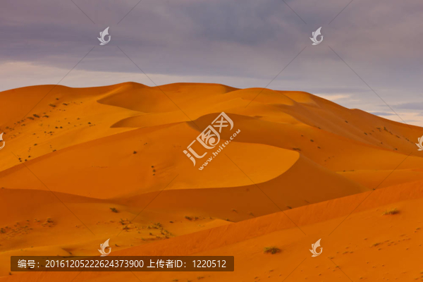 沙漠的沙丘景觀在撒哈拉沙漠的影子模式；摩洛哥