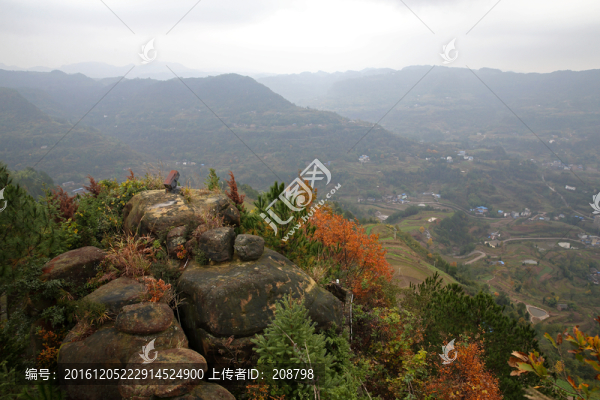 山景