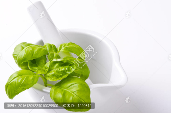 香蒜醬和砂漿