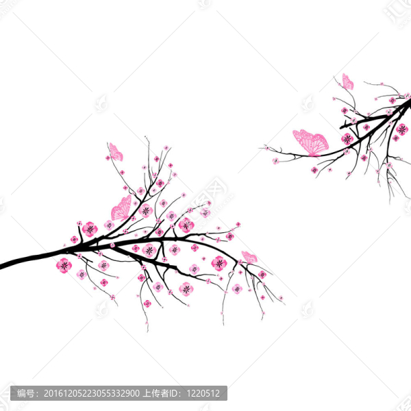 盛開的櫻花
