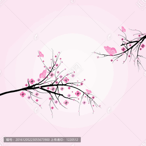 盛開的櫻花