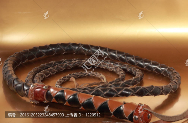 鞭子皮革棕