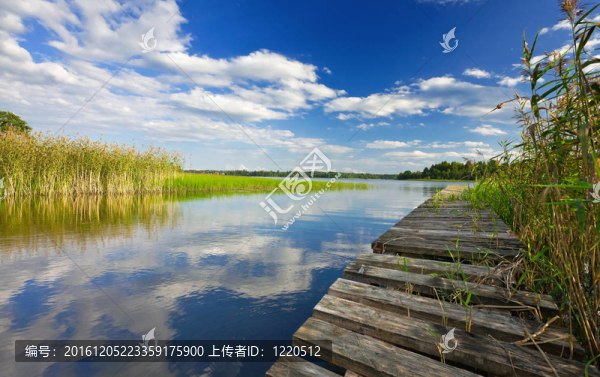 夏天的風(fēng)景與木橋