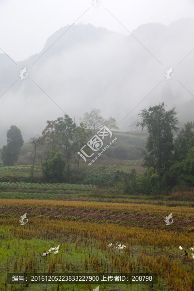 山間晨霧