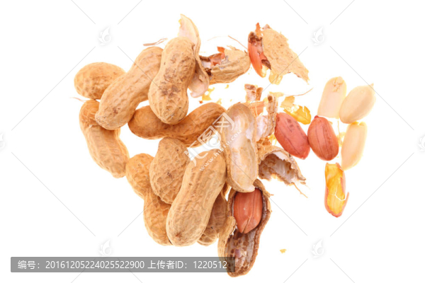 白隔花生