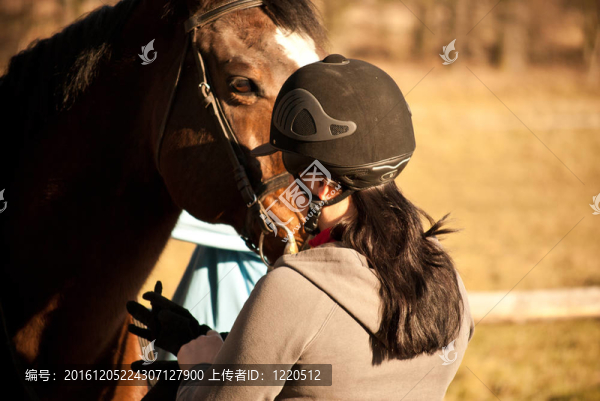 騎馬的馬