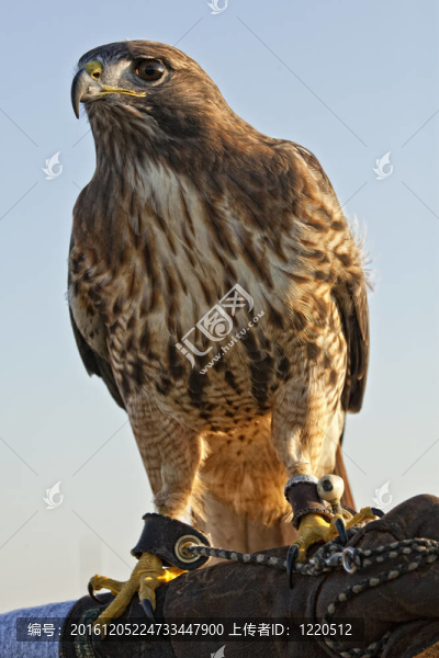 宙斯-匯圖網(wǎng) www.fosd68.com 宙斯