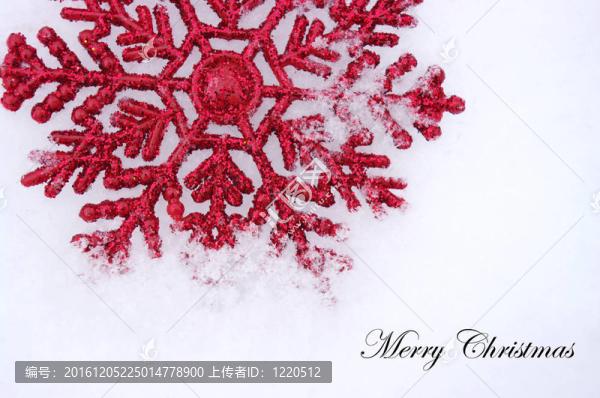 美麗的雪花