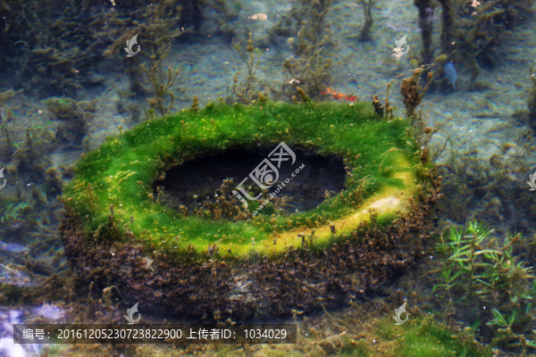 水底世界