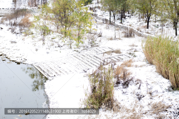 雪景