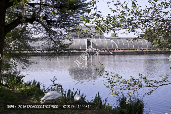 公園景觀。