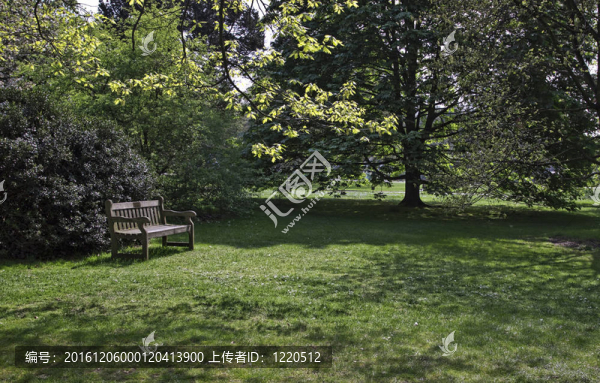 公園景觀。