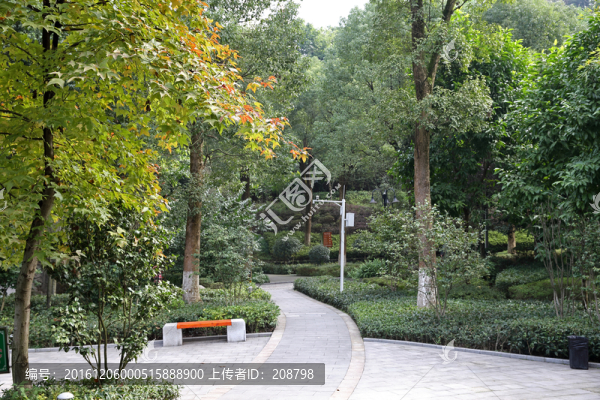 公園