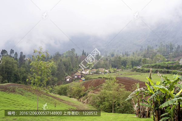 山峰村