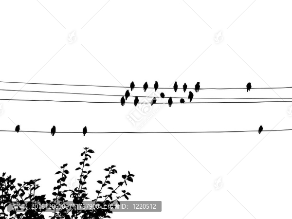鳥(niǎo)兒在電線上