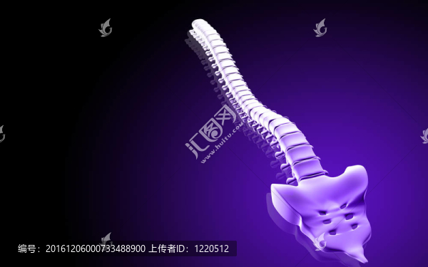 背骨