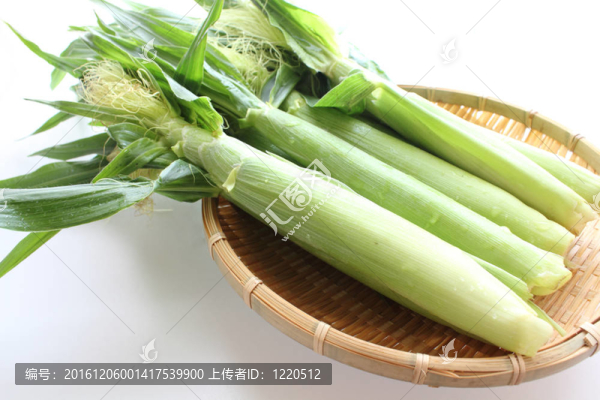 小玉米