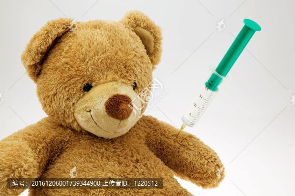 泰迪熊注射