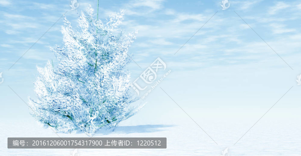 白色的冬天