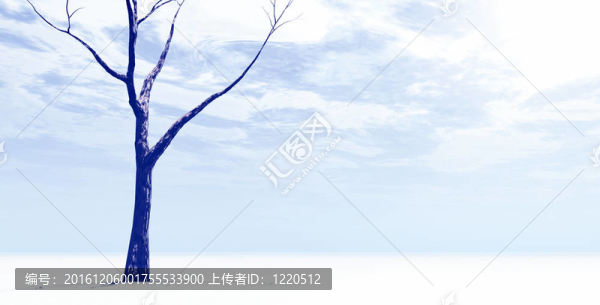 冬天的景色